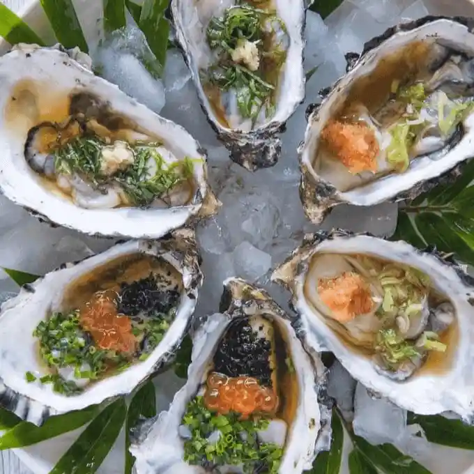 Japanese Oysters